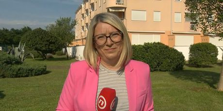 Lina Dollar, reporterka Nove TV