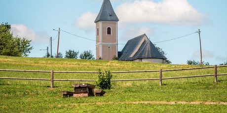 Kaniška Iva - 4