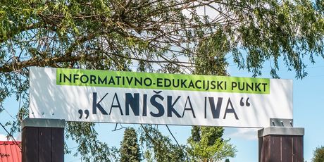 Kaniška Iva - 6