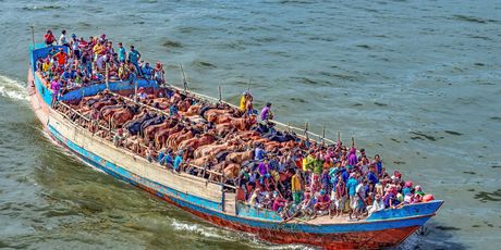 Brodom na stočnu tržnicu, Bangladeš - 1