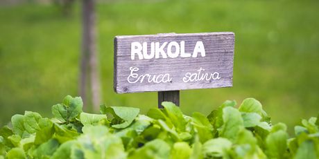 Hotel Grad Otočec poznat je po svojim izvanrednim salatama iz Grajskog vrta