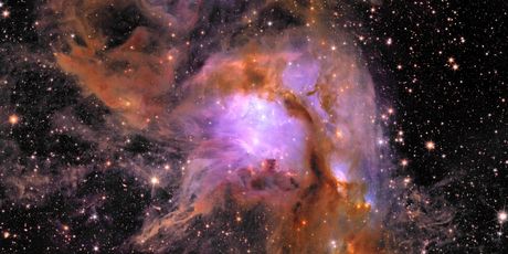 Nove slike europskog teleskopa Euklid, rasadnik zvijezda Messier 78