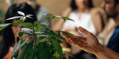 Posebna večera u suradnji Biomanije i umjetnice Aklee Neon - 2