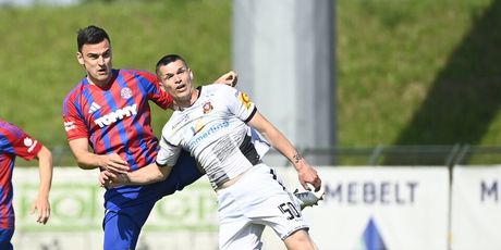 Ante Erceg