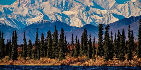 Denali - 1
