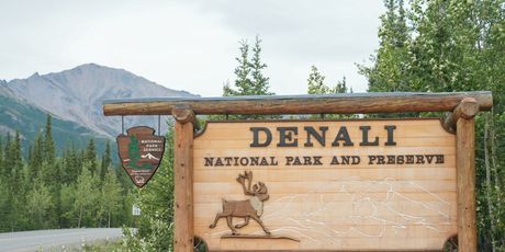Denali - 3
