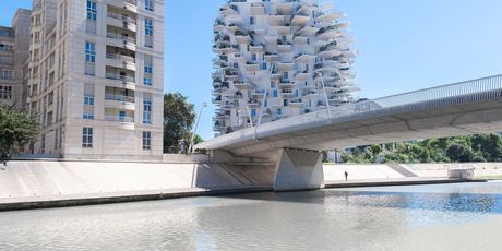 Bijelo stablo u Montpellieru - 4