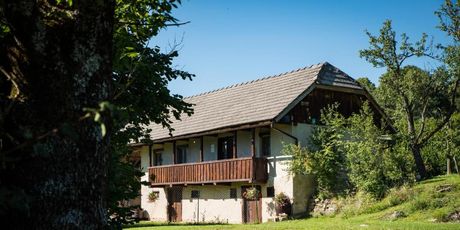 1st Truffle House Žumberak - 14