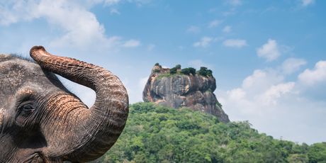 Sigiriya - 4