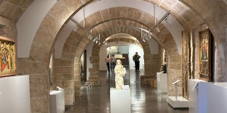 Palma - 3