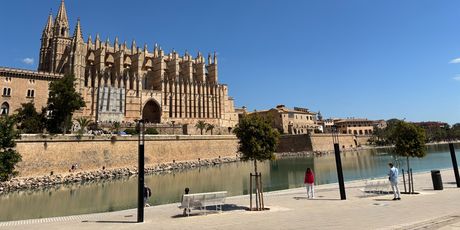 Palma - 4