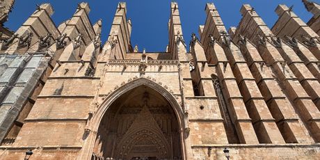 Palma - 7