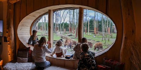 Pairi Daiza - zoološki vrt i resort - 9