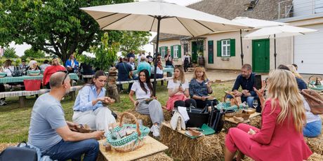 Slow wine train - 11