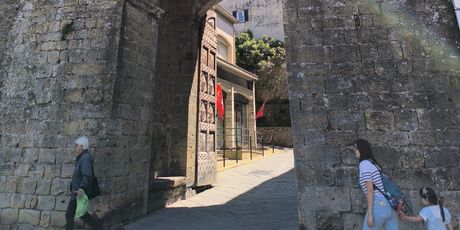 Volterra
