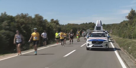In Magazin: Wings for Life World Run - 3