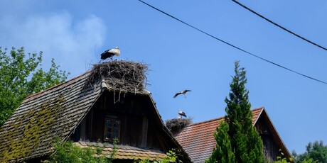 PP Lonjsko polje