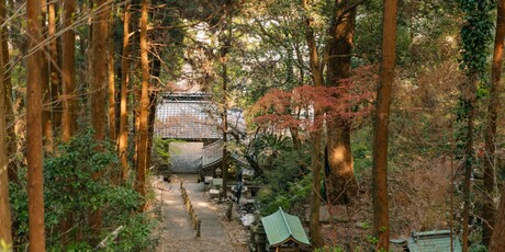 Shikoku ima visok postotak starijeg stanovništva