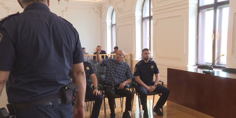 Izricanje presude Željku Travici