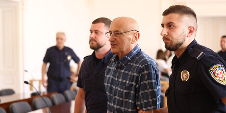 Željko Travica presuda - 1