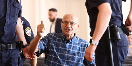 Željko Travica presuda - 2