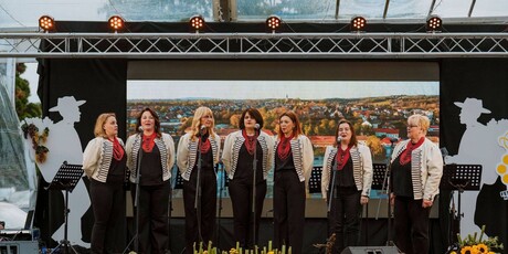 Festival MoslaVina - 9