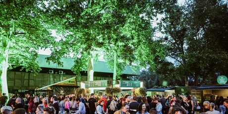 Greencajt festival - 3