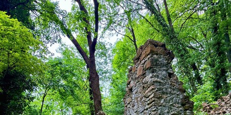 Planinarenje i ruže - 15