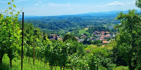 Planinarenje i ruže - 18