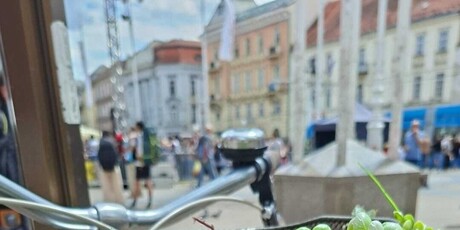 Pčele se roje na biciklu na Trgu bana Jelačića - 1