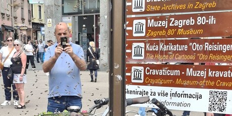 Pčele se roje na biciklu na Trgu bana Jelačića - 3