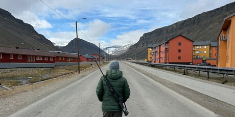 Svalbard - 19
