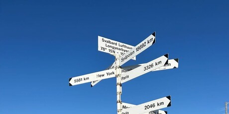Svalbard - 20