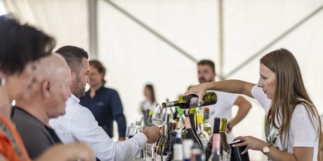 Eco-Wine Fest - 3