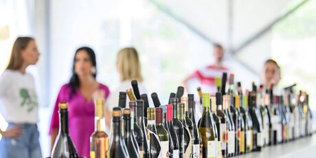 Eco-Wine Fest - 4