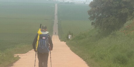 Camino - 34