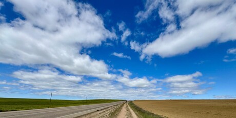 Camino - 35