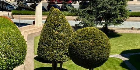 Astorga - 7