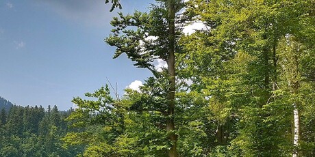 Lokve na tanjuru - 12