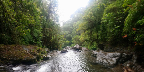 Darien Gap - 2