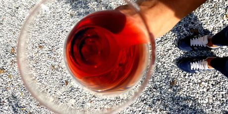 Najpoželjniji stil u proizvodnji crnih vina - elegantna Carolina Noir