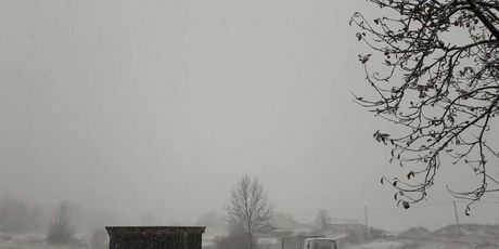 Snijeg u mjestu Krasno (Foto: Čitatelj) - 2