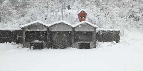 Snijeg na prometnicama (Foto: Marko Balen/dnevnik.hr) - 5