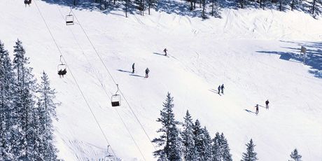 Rogla - 2
