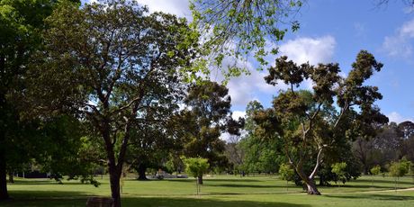 Park