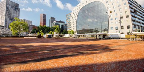 Markthal Rotterdam - 4