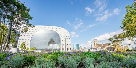 Markthal Rotterdam - 5