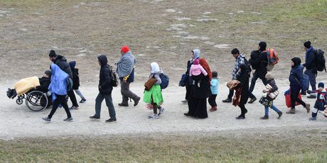 Ilegalni migranti (Foto: AFP) - 2