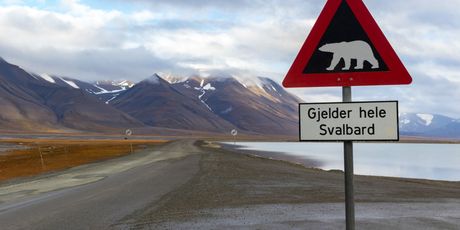 Longyearbyen - 1