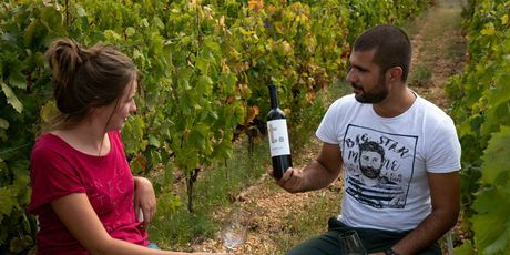 Vinarija Testament